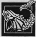 Chapter Icons/fish_bw.gif